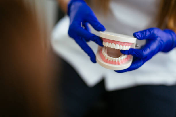West Miami, FL Dental Services Company